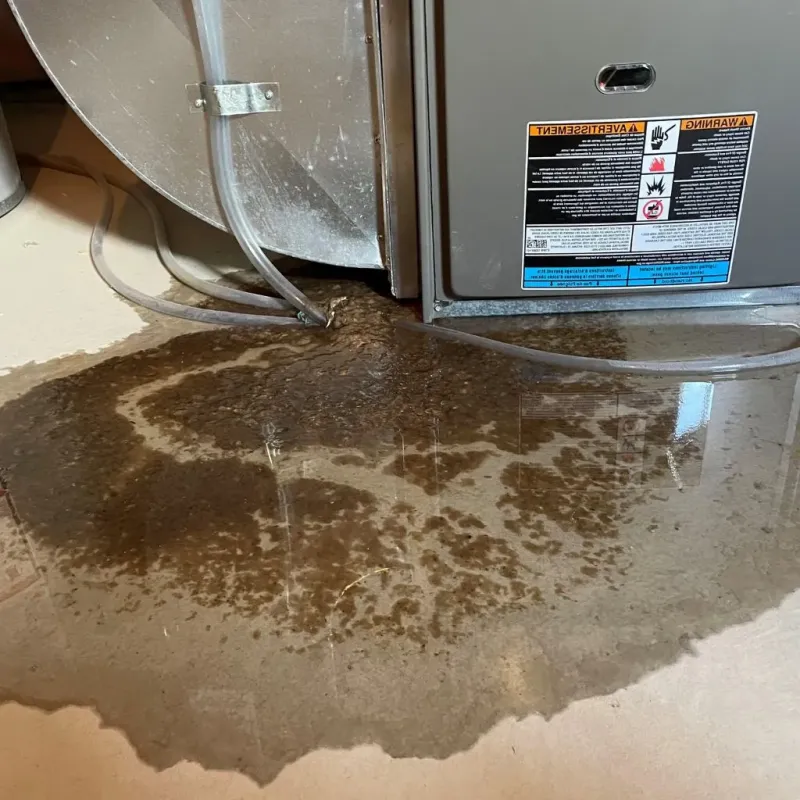 Pipe Burst and Leak Restoration in Charlestown, RI